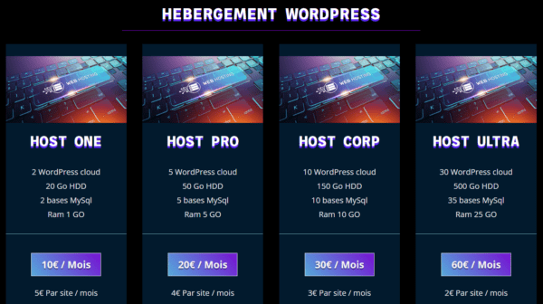 Hébergement Serveur Dédié - Image 2
